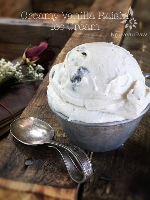 raw vegan Creamy Vanilla Raisin Ice Cream served in an old tin mug