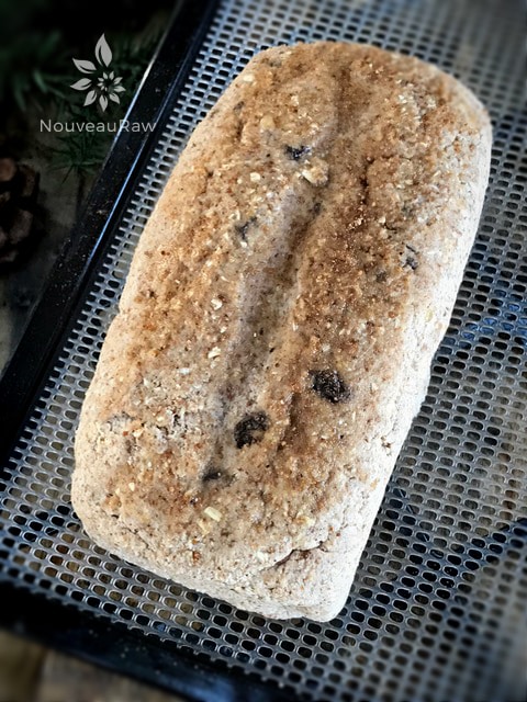 a full loaf of raw vegan gluten-free Sunday Morning Bread on a dehydrator tray