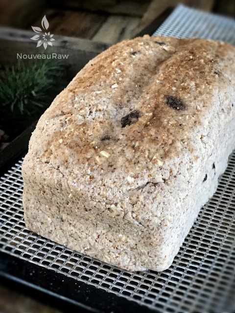 a close up of a full loaf of raw vegan gluten-free Sunday Morning Bread on a dehydrator tray