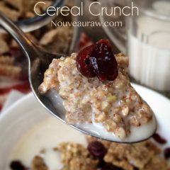 Raw, Vegan, Gluten-Free, and refined sugar-free Almond Butter Cereal Crunch