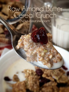 Raw, Vegan, Gluten-Free, and refined sugar-free Almond Butter Cereal Crunch