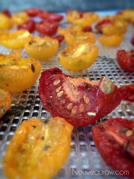 lightly dehydrated Italian cherry tomatoes displayed on a dehydrator sheet