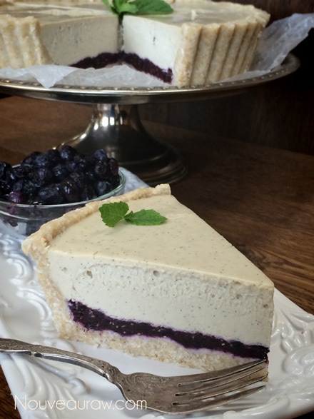 An elegant slice of raw blueberry vanilla bean cheesecake with blueberries at side