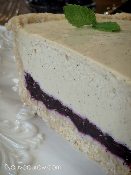 A yummy slice Raw blueberry vanilla bean cheesecake topped with fresh mint