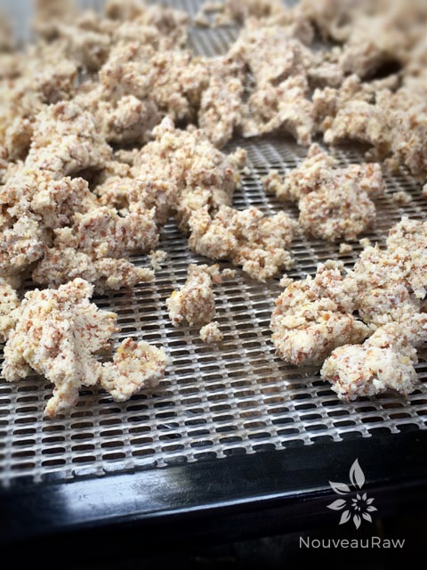 Wet almond pulp ready for the dehydrator.