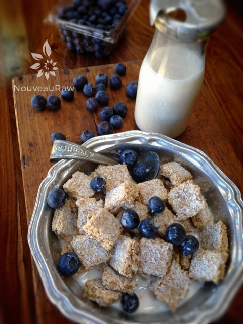 Delicious and tempting Raw Shredded Coconut Biscuit Cereal with Fresh blueberries on top with homemade nut milk