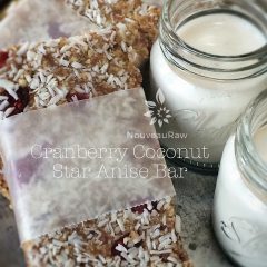 Recipe for Cranberry Coconut Star Anise Bar that's raw, vegan, gluten-free, Paleo