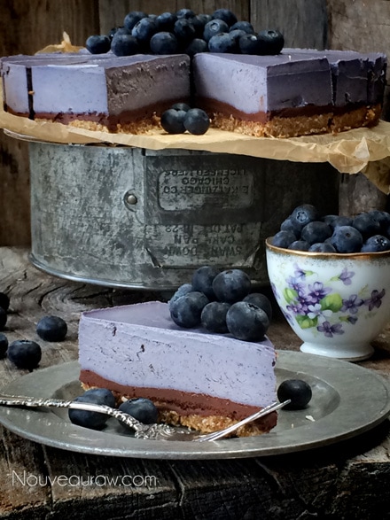 Raw Gluten-Free Bountiful Blueberry Chocolate Ganache Cheesecake, eye catching 