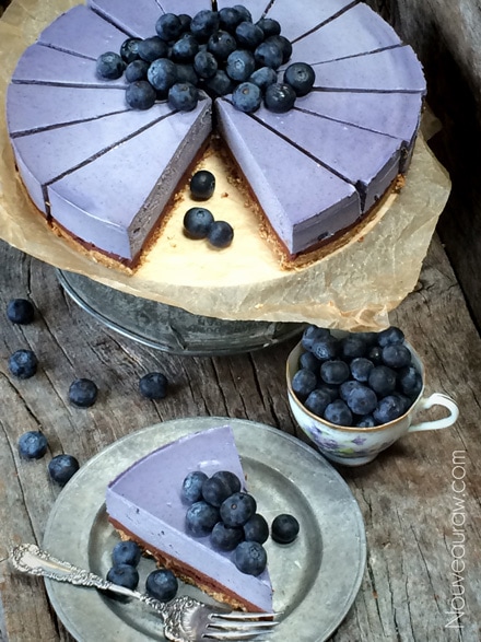 Yummy slice of Bountiful Blueberry Chocolate Ganache Cheesecake topped with fresh blueberries