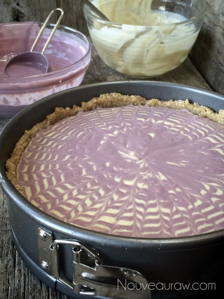 the Raw Vanilla Bean and Blackberry Zebra Swirl Cheesecake is ready to be chilled