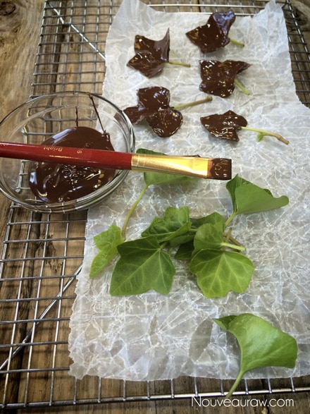 painting mint leaves with melted chocolate