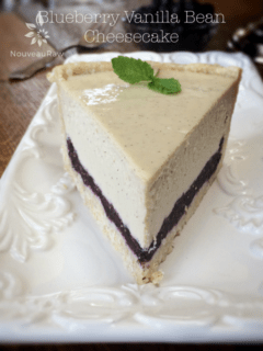 A lovely slice of flavorful Raw blueberry vanilla bean cheesecake