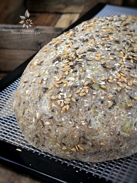 a full loaf raw vegan gluten-free Sauerkraut and Caraway Bread on dehydrator trays