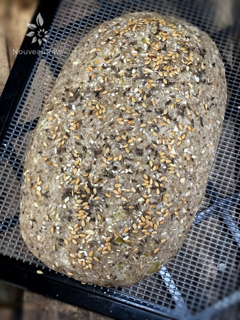 over head shot of a full loaf raw vegan gluten-free Sauerkraut and Caraway Bread on dehydrator trays