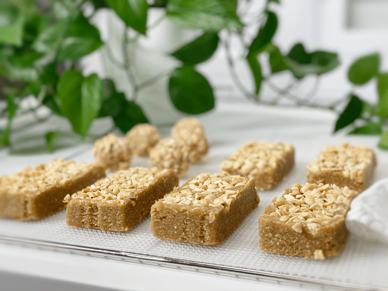 raw vegan gluten-free sweet and salty peanut butter protein bars