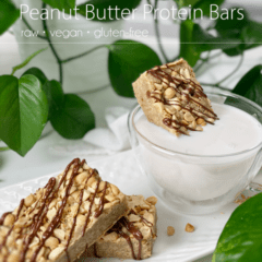 raw vegan gluten-free sweet and salty peanut butter protein bars