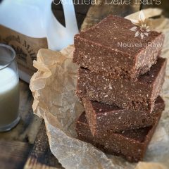 Raw, Gluten-Free, Nut-Free Chocolate Honey Oatmeal Date Bars