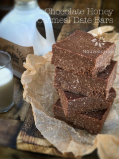 Raw, Gluten-Free, Nut-Free Chocolate Honey Oatmeal Date Bars