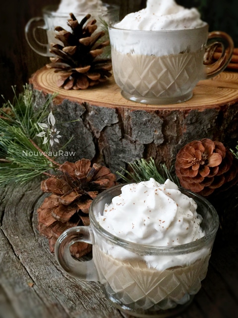 raw vegan Holiday Eggnog Ice Cream served in a punch glass and displayed on logs
