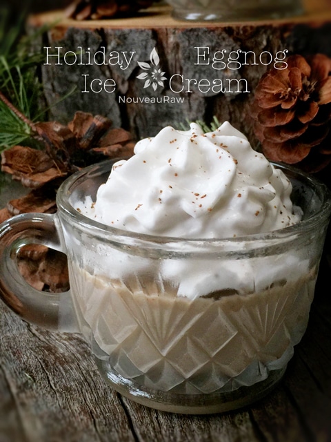 raw vegan Holiday Eggnog Ice Cream served in a punch glass