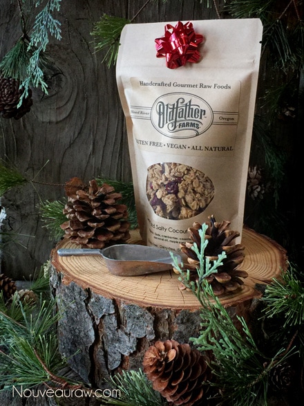 raw vegan sweet and salty coconut cran granola packaged in a airtight bag for gift giving