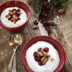 raw, vegan, gluten-free, and nut-free Coconut Pudding