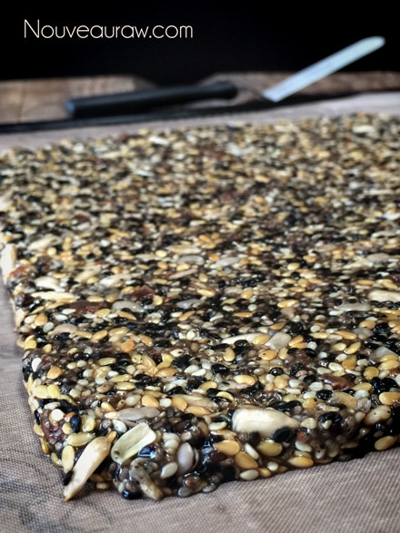 side view or dehydrating the raw vegan grain free Multi-Seeded Crackers 