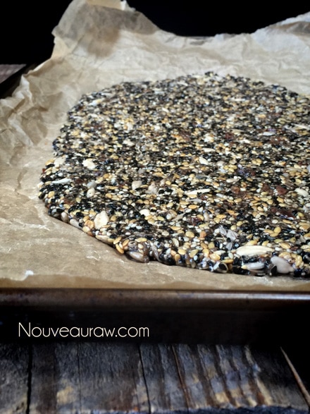 baking option for r the raw vegan grain free Multi-Seeded Crackers