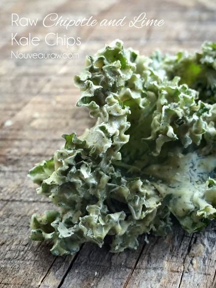 raw vegan close up of Chipotle and Lime Kale Chips