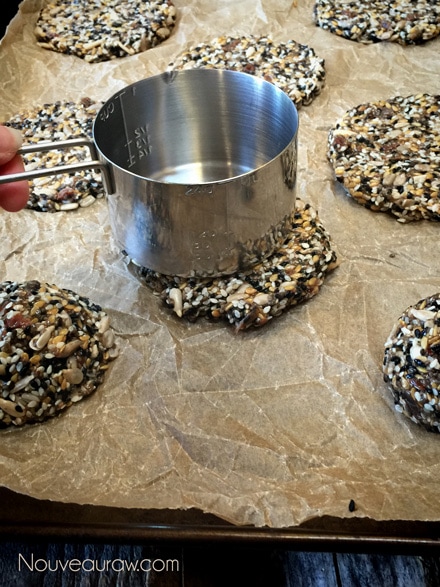 raw vegan grain free Multi-Seeded Crackers made in round cracker form
