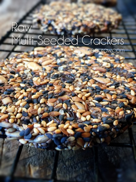 close up of raw vegan grain free Multi-Seeded Crackers made in round cracker form