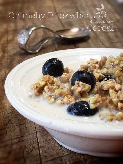 a close up of raw, vegan, gluten-freeCrunchy Buckwheat Cereal