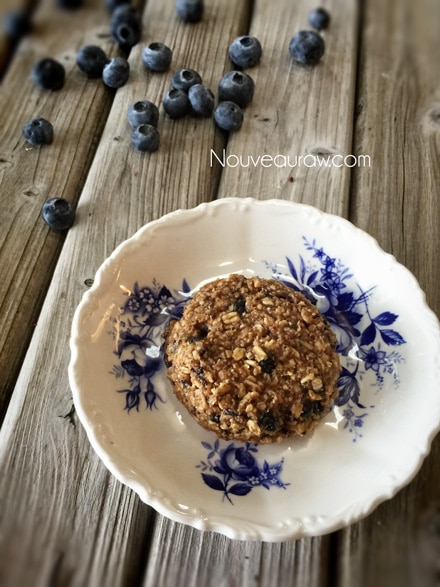 delicious and chewy Blueberry n' Tahini Oat Cookies (raw, vegan, gluten-free, nut-free)