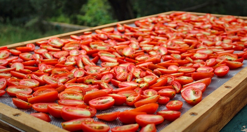 Sundried-Tomatoes-Drying