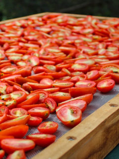 sun-drying-food-F