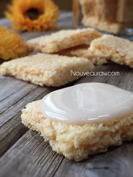 a close up of raw vegan nut-free Coconut Pineapple Crackers