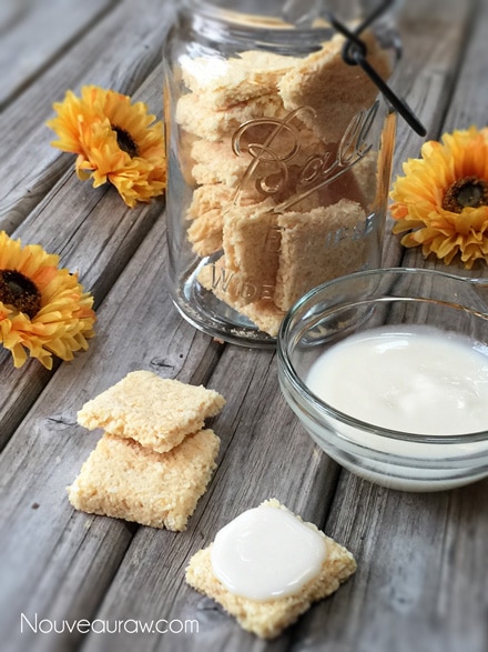 raw vegan nut-free Coconut Pineapple Crackers with coconut butter icing