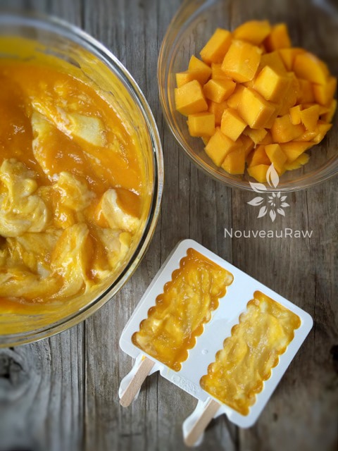 A display of the mango batter and chunks of ripe mango... ready to be molded and frozen