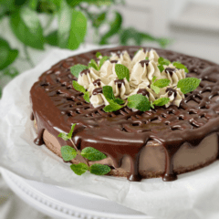 raw vegan gluten-free black forest cheesecake