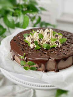 raw vegan gluten-free black forest cheesecake
