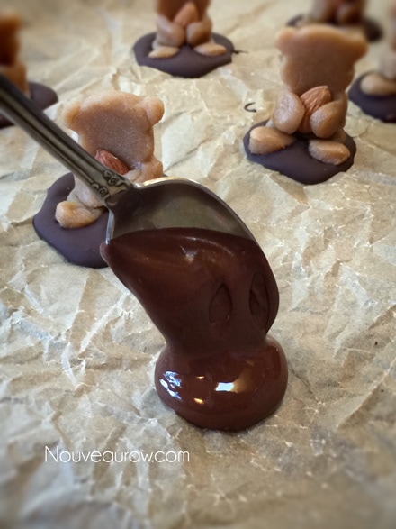 creating a chocolate base for the raw vegan Cuddly Brown Bears Mud Puddles Cookies