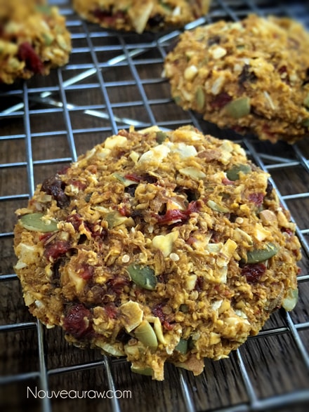 a close up of colorful overview of Autumn Harvest Oat Cookies 