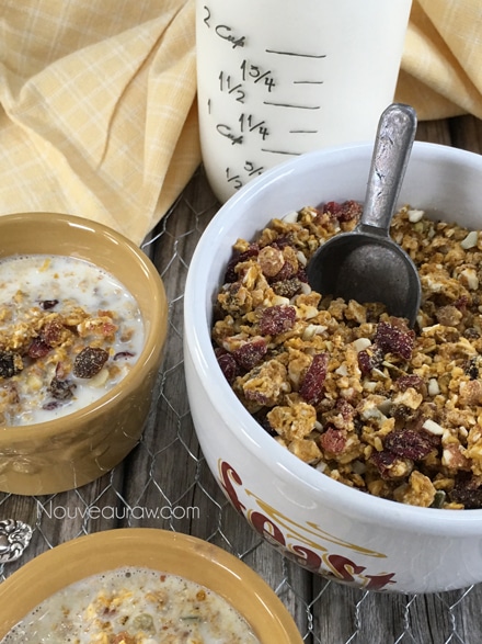 A nutritious Autumn Purely Pumpkin Pie Muesli mix with dried fruits, so yummy