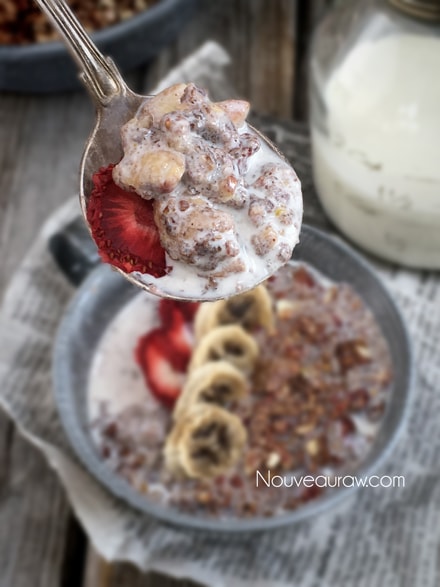 A delicious spoonful of Raw Gluten-Free Strawberry Banana Nut Muesli 