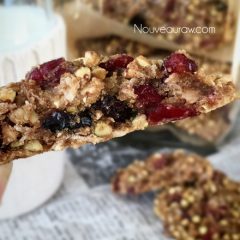 raw vegan gluten-free nut-free cookies