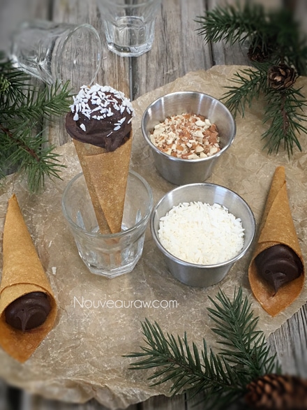 a display of all the ingredients needed to make the raw vegan gluten free Chocolate Ganache Banana Cones