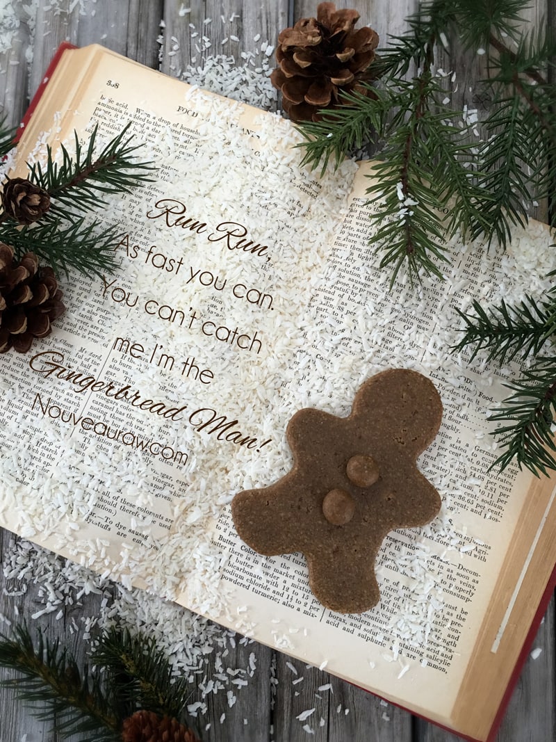 Hum Mud Gingerbread Men cookies displayed on a Christmas story book