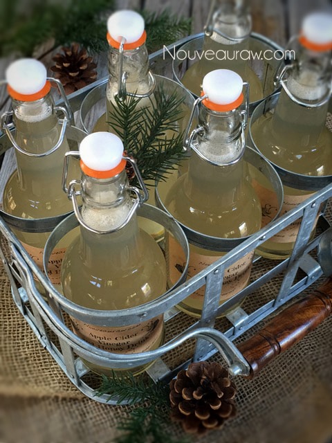 over head shot of alkalizing Apple Cider Vinegar and Honey Drink in bottles