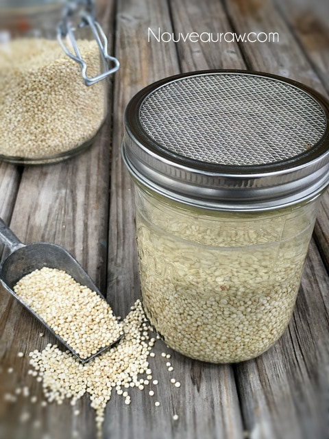 place quinoa in a jar, add water and place a mesh screen on top