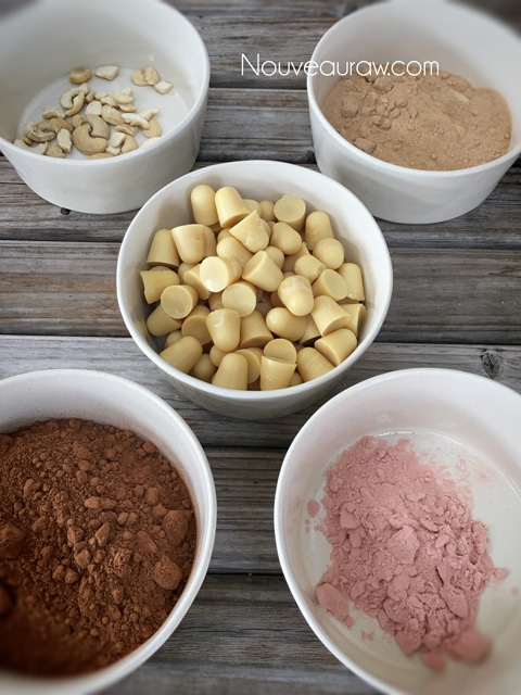 each ingredients pre-measured for making raw milk chocolate
